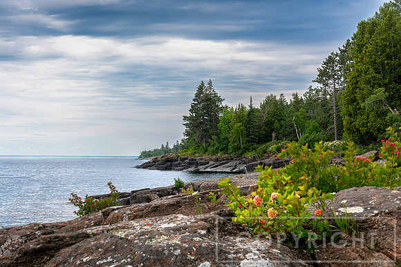 Lake Superior Shore