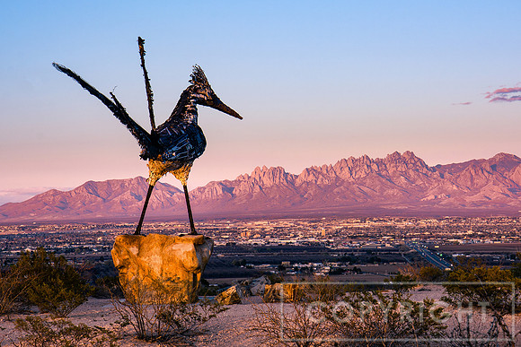 Roadrunner Overwatch