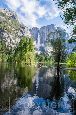 Yosemite Falls Reflection