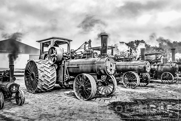 Steam Tractor Line-Up
