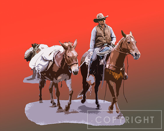 Yosemite Pack Mules - Heading to the Wilderness