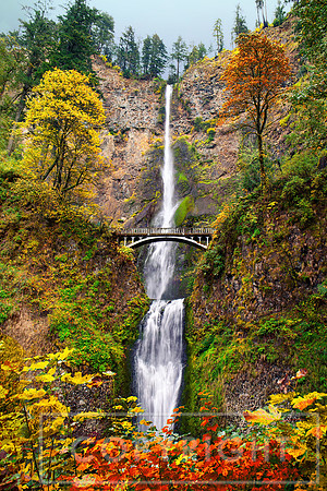 Fall Colors at Multnomah Falls