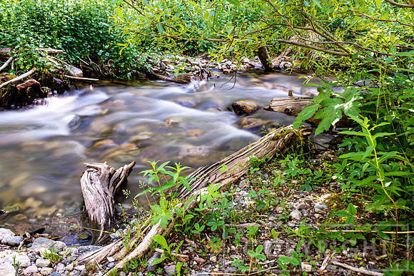 Cooling Stream on a Hot Day