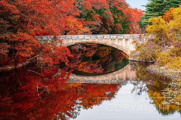 Arched Bridge with Fall Colors